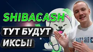 Обзор SHIBACASH - ВЕРОЯТНО ТУТ БУДУТ ИКСЫ! 🔥