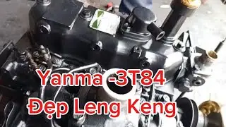 Yanma 3T84 | Beautiful | code 957 | Contact 0988787682 | 0982656165 | 0938312207