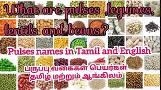 Pulses names in Tamil & English |Types of Dals | Lentils & Legumes  பருப்பு வகைகள் (பயறு)அவரை வகைகள்