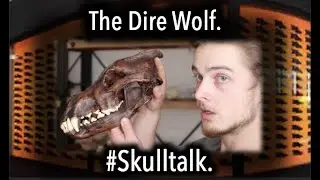 Лютоволк. #Skulltalk.