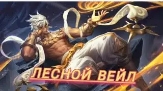 Внедрился в рандомную фулку на лесном вейле.Mobile of legends