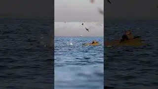Epic layout hunting action on the Chesapeake Bay #duckhunting #seaduckhunting #chesapeakebay