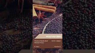Mustard Seeds Spot Market Prices Update | 14th February 2023 |  