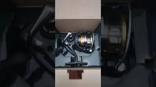 NEW SHIMANO SAHARA FJ REEL AND DRAG SOUND #shimano #pescabolognese #pescainmare #fishing