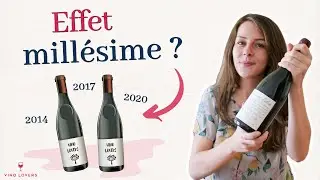 Pourquoi certains millésimes sont meilleurs que d’autres ?