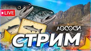 ❄️ С НАСТУПАЮЩИМ ☃️ ЛОСОСЬ РЫБА И БЕЛОРЫБИЦА 🎁 Рулетка & Розыгрыши🎄СТРИМ Русская Рыбалка 4