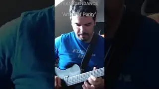 TRANSCENDANCE - Arrival of Purity #progressivemetal #solo #guitarist #transcendance-death-metal-fr