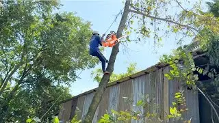 Nhóm Thợ Cưa Cây Trên Mái Nhà Giúp Người Dân