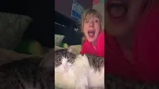 I love this trend 🤣🤣 #swiftie #trend #cat #cattrends #unphased #shorts #crazycatlady #catshorts