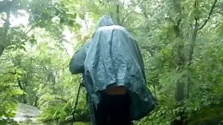 Laurel Highlands Hiking Trail  653 to Grindle Ridge