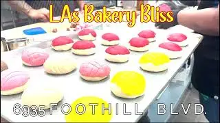 Come to Arnieville to Enjoy Our Daily Fresh Baked Pastries!