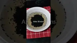 Black Sesame Seed Milk | Healthy Tea Recipe | ASMR Shorts