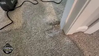 Compass Carpet Repair - Carpet Pet Damage Patch Repair In Independence, KY