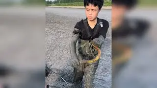花600块在60亩的鱼塘抓两个小时鳝鱼，究竟有没有赚