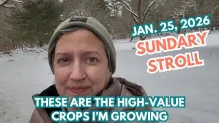 Jan 25, 2026 - Sunday Stroll - These Are The High-Value Crops I'm Growing
