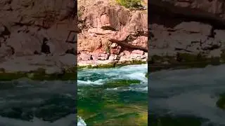 Green River - Fly Fishing Destination of a Lifetime - Portrait Version