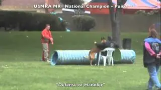 2012 USMRA MR1 National Champion Puma Defense of Handler