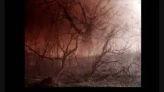 Paradigm X - Beautiful Music