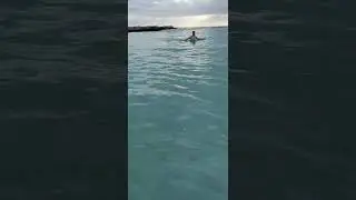 Привет!