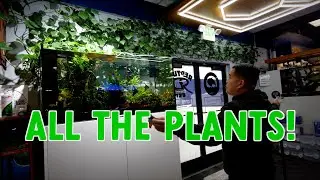 HOW TO ADD PLANTS TO YOUR AQUARIUM AND BIOACTIVE SET-UP | UNS | REDSEA | SEACHEM