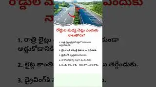 Why Trees Are Planted Between Roads? | Road Divider Secrets | Shocking Facts About Highways