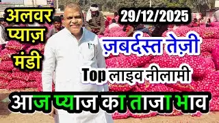 अलवर प्याज़ मंडी भाव आज का पप्पू भाई प्रधान, Alwar Pyaj Mandi Bhav Today Onion Rate Aaj Ka #pyajbhav