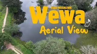 Wewa from the Sky | Peaceful Village Tank Aerial View | Sri Lanka🇱🇰