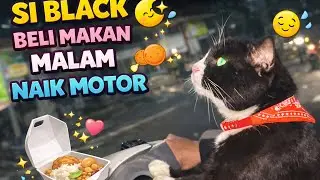 Cat cute😍-Black naik motor beli makan #cat #catvideos #kucing #kucinglucu #cutecat #viralvideo 