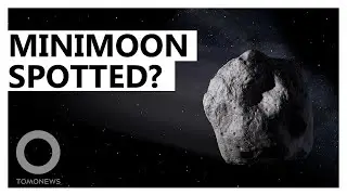 Earth may have a new 'minimoon' - TomoNews