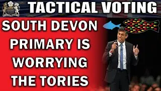 Tactical Voting in South Devon Worrying Tories