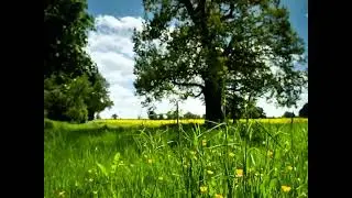 K-fee Meadow Commercial Recreation (Without Screamer)