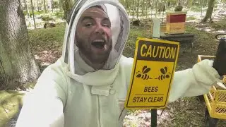 June Beekeeper vlog