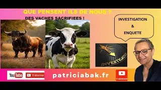 388 - ENQUETE : Le Respect des Vaches abattues - que pensent elles des Hommes ? Hypnose ésotérique