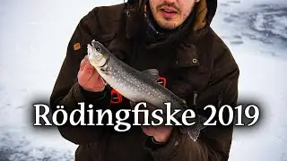 Rödingfiske - Arctic Char Fishing 2019