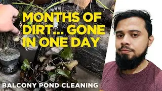 Outdoor Balcony Pond Deep Cleaning 🪣 | Full Makeover & Fresh Design Reveal