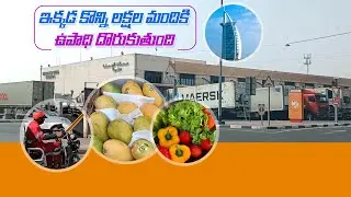 Al Aweer Fruits And Vegetables Market In Dubai | Export And Import Of Fruits And Vegetables Market