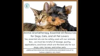 Animal Aromatherapy: Resources for Using Essential Oils Safely w/ Your Dogs, Cats, and Pets 🐱 🐶 🐴 💧