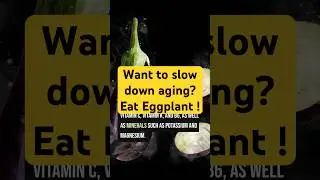 Eggplant: The Purple Superfood You Need!
