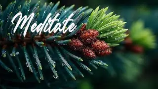 🌲 Serene Nature Worship Music ~ Relaxing Melodies for Prayer & Deep Meditation