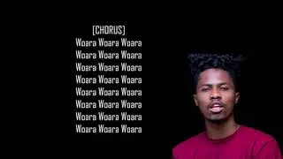 Kwesi Arthur - Woara (God Engineering) || LYRIC VIDEO
