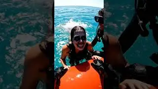 hell diver underwater252#find #divertido#ocean#mermaid #horrormovies#scary#underwater