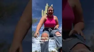 Giant saguaro cactus in Arizona desert 🌵☀️