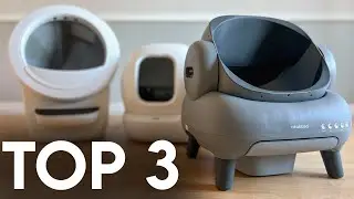 TOP 3 : Meilleure Litière Autonettoyante 2025