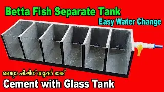 Aquarium Tank # Cement Tank # Cement with Glass Tank # Cement Crafts # Aqua Tales # Das Intermedia
