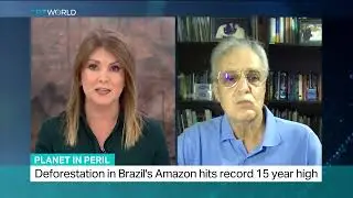 Deforestation in Brazil&rsquo;s Amazon hits record 15 year high