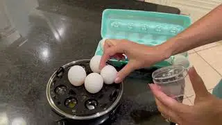 Review & Demo of the DASH Deluxe Egg Cooker