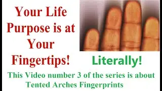 Your Life Purpose is at Your Fingertips! Characteristics of Tented Arches Fingerprints Part 3