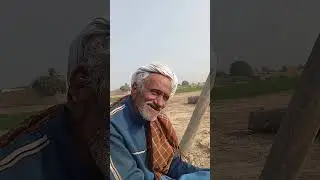 #foryou #چاچے وسو کے ساتھ سنگت کے بارے میں حال وال کرتے ہوے 
