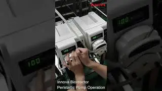 Innova Bioreactor Peristaltic Pump Operation Demonstration