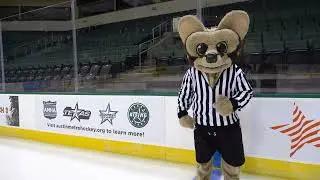 Hockey 101 - Offsides